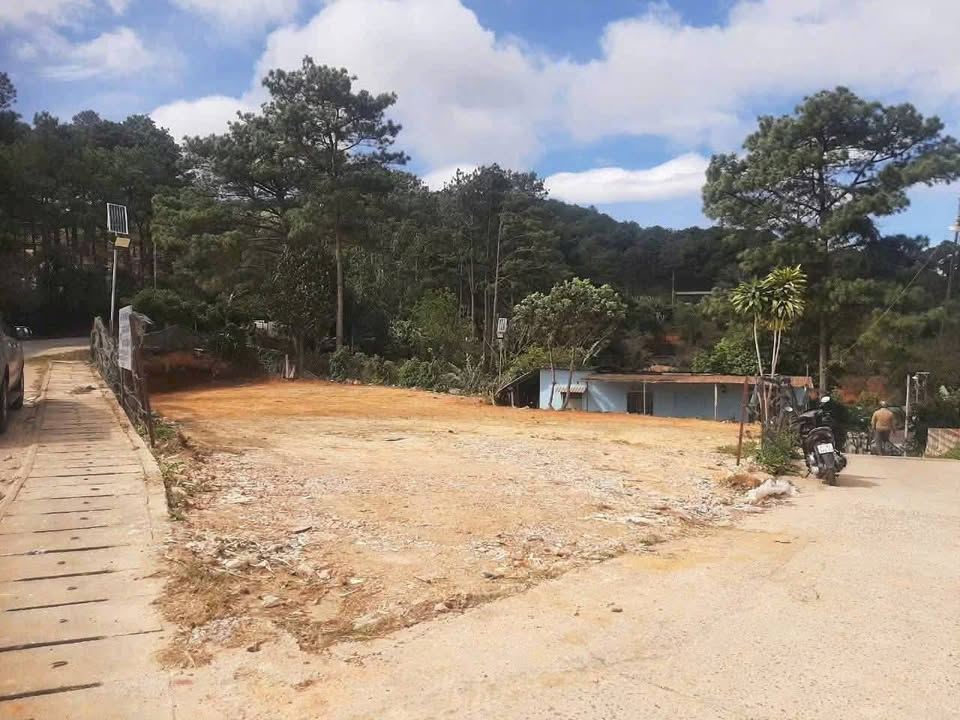 Bán đất tặng nhà mặt tiền Nguyễn Đình Quân 730m² giá 2.2 tỷ - Cơ hội đầu tư hấp dẫn!