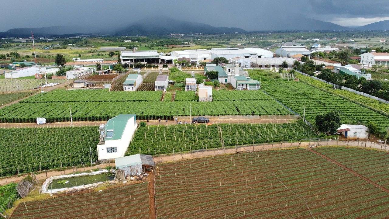 Đất 2 mặt tiền Tân Hội, Đức Trọng 114m² giá 895 triệu - Cơ hội đầu tư vàng!