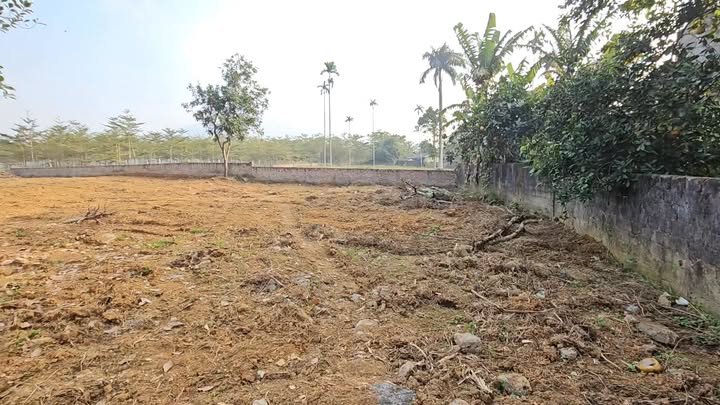 Đất thổ cư 250m² tại Thôn Sổ Tơi, Yên Trung - Pháp lý rõ ràng, giá thỏa thuận!