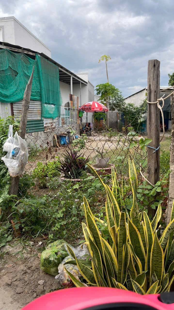 Đất nền hẻm 47 Trường Chinh, Văn Hải 118m² giá 870 triệu - Cơ hội đầu tư tuyệt vời!