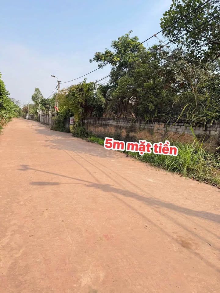 Đất nền Yên Mỹ Lạng Giang 110m² giá 1.4 tỷ - Chính chủ bán gấp!