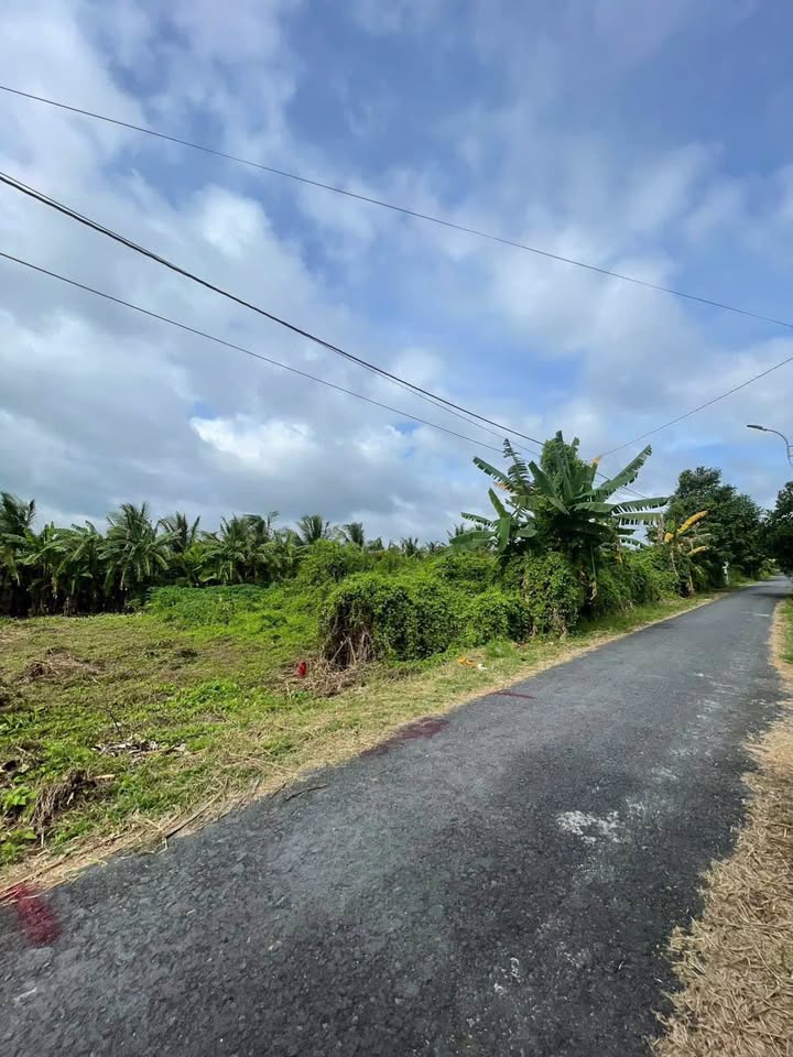 Đất thổ cư Phường Tân Hoà, TP Vĩnh Long 141m² giá 630 triệu - Vị trí đắc địa, hạ tầng hoàn thiện!