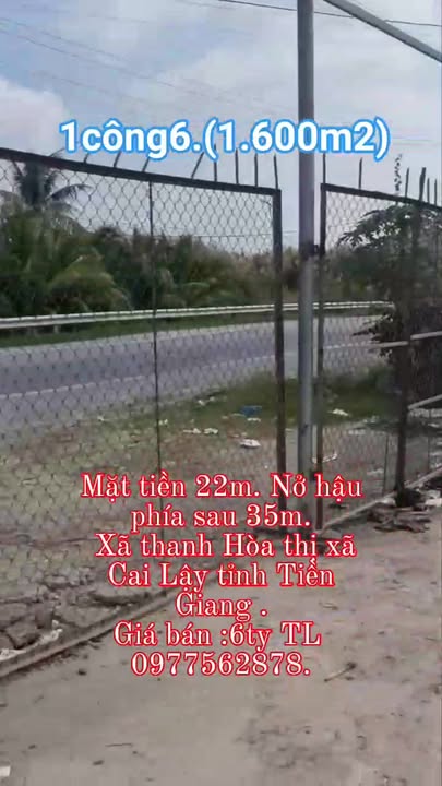 Đất mặt tiền đường Nguyễn Văn Lộc, thị xã Cai Lậy 1600m² giá 6 tỷ - Cơ hội đầu tư tuyệt vời!