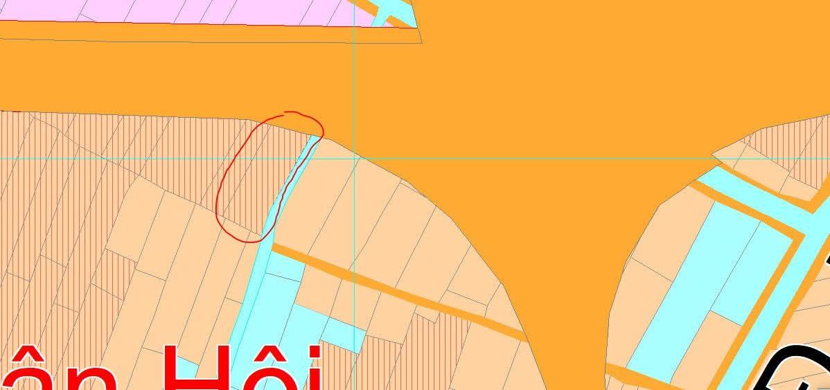 Đất nền chính chủ Tân Hội, Cai Lậy 1900m² chỉ 1 tỷ - Cơ hội đầu tư tuyệt vời!