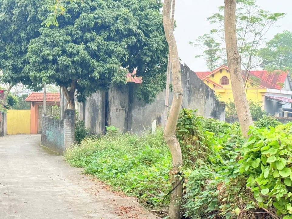 Đất nền Trung Thành, Phổ Yên 900m² giá chỉ 2 tỷ - Cơ hội đầu tư tuyệt vời!