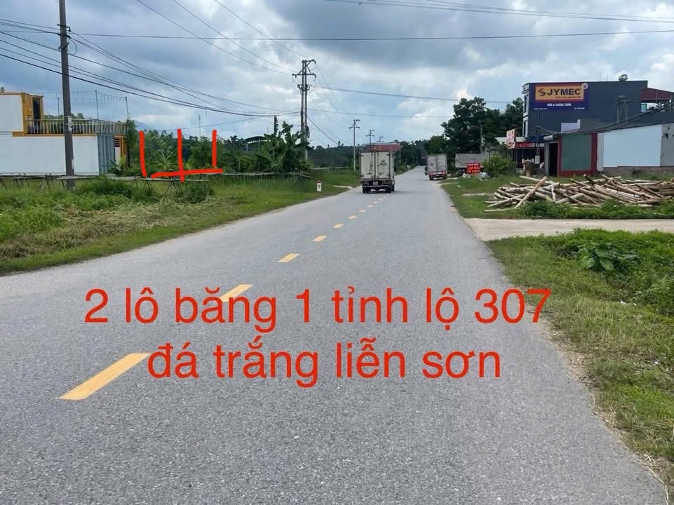 Đất nền Khu Đấu Giá Đá Trắng Liễn Sơn 100m² giá 1.1 tỷ - Cơ hội đầu tư tuyệt vời!