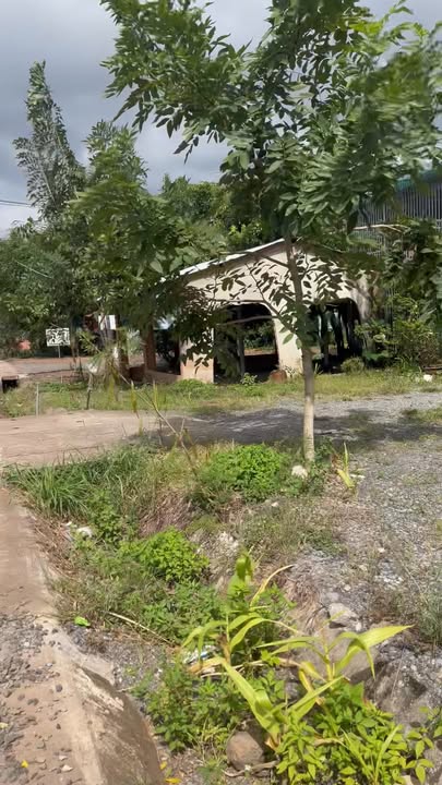 Đất nền mặt tiền tỉnh lộ 1 tại Ea Wer, Đắk Lắk 455m² - Cơ hội đầu tư sinh lời!