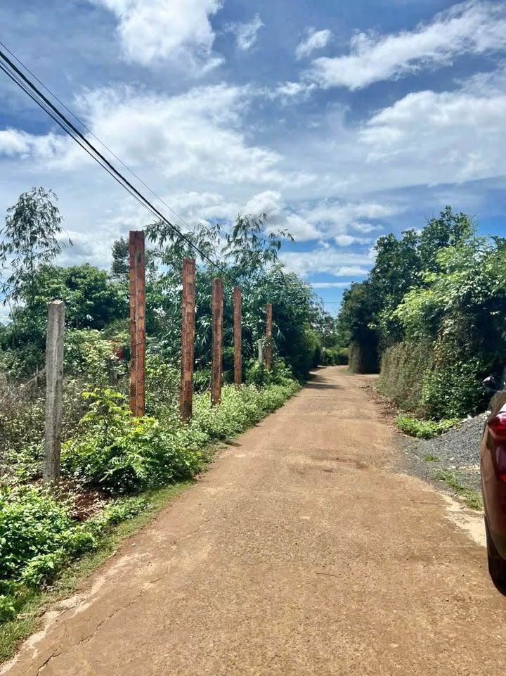 Đất nền mặt tiền hẻm C1 - Võ Nguyên Giáp 100m² giá chỉ 699 triệu - Cơ hội đầu tư tuyệt vời!