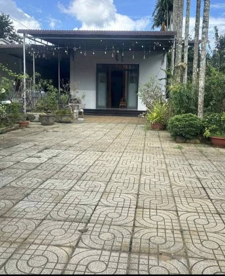 Nhà phố Ea Ktur, Cư Kuin, 60m² giá 2.4 tỷ - Đầu tư sinh lời ngay!