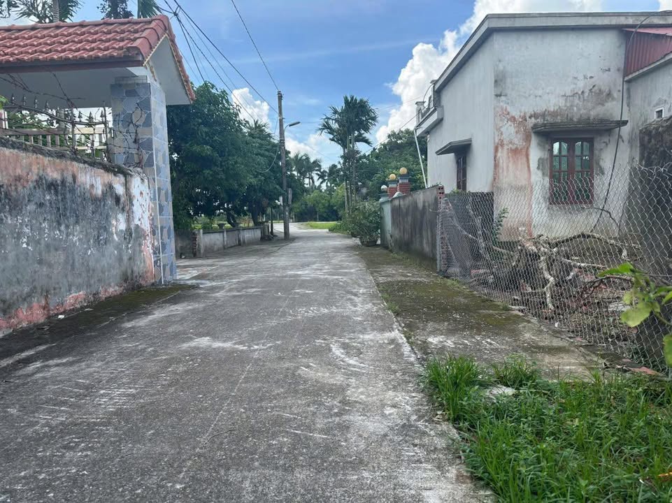 Đất nền Thái Thụy 100m² giá chỉ 600 triệu - Sổ đỏ trao tay ngay!