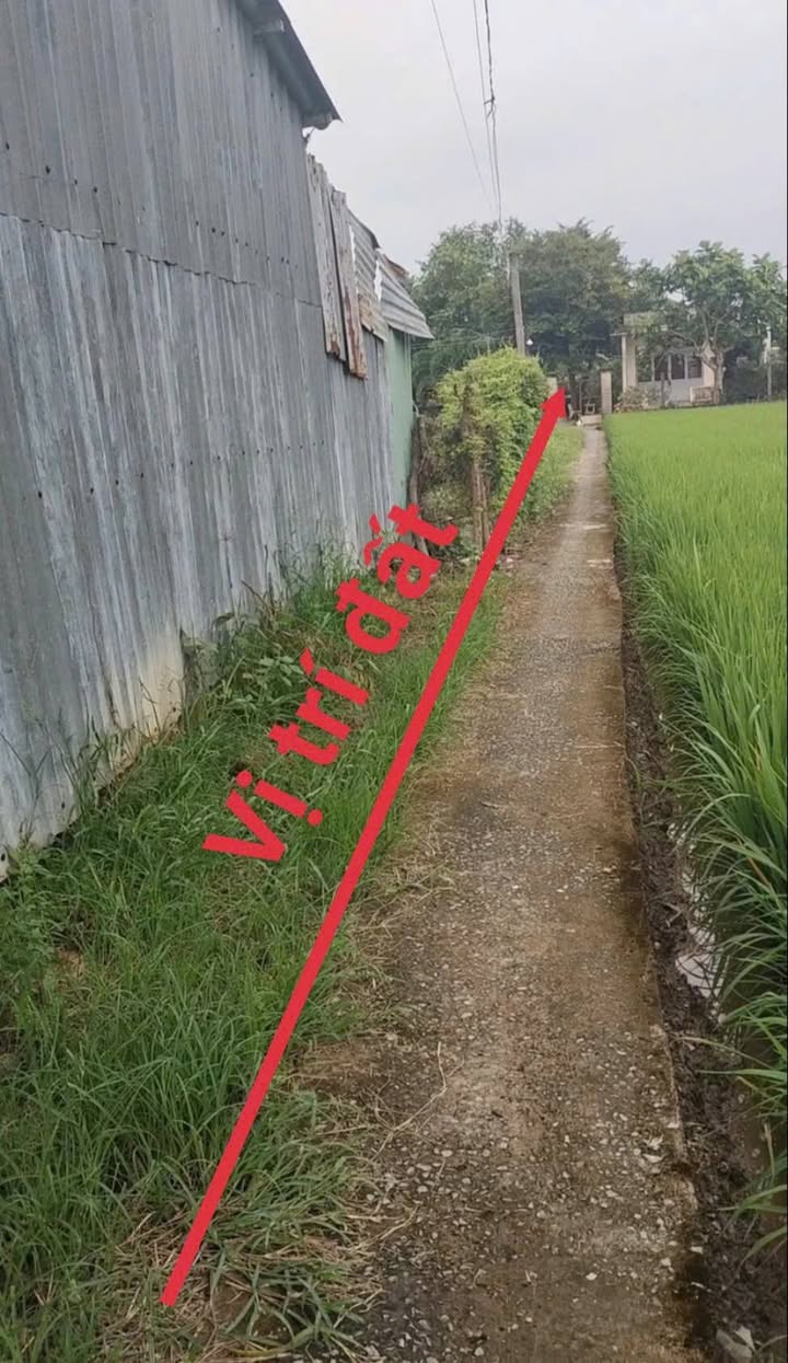 Đất lúa 2 mặt tiền tại Lạc Tấn, Tân Trụ - 1842m² giá 890 triệu - Cơ hội đầu tư tuyệt vời!