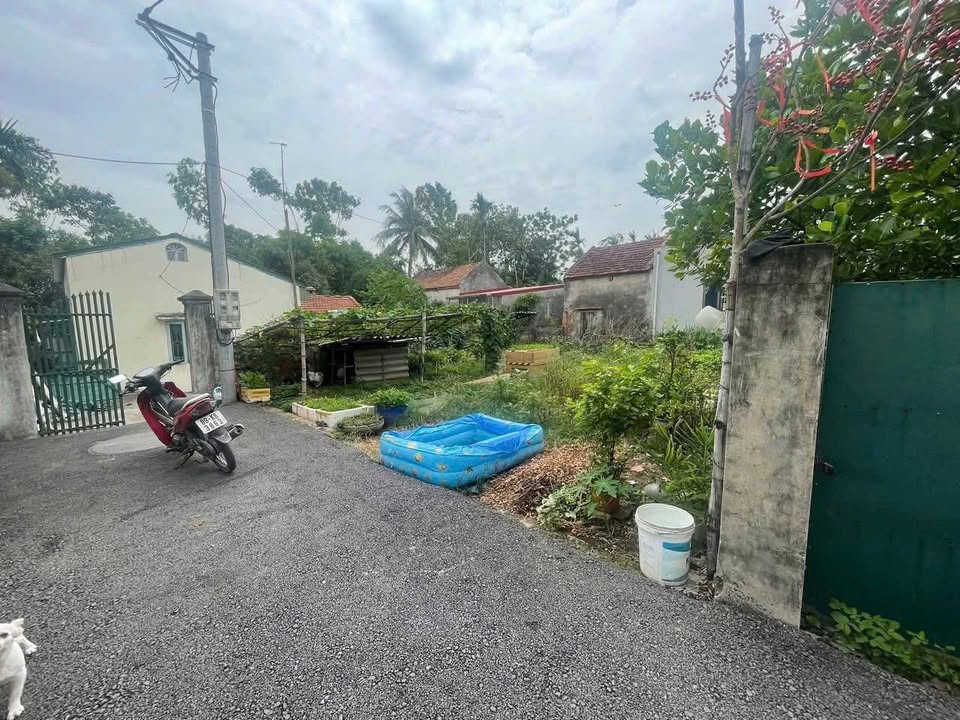 Đất nền thôn Lương Hội, Hưng Yên 139m² giá 1 tỷ - Đầu tư sinh lời ngay!