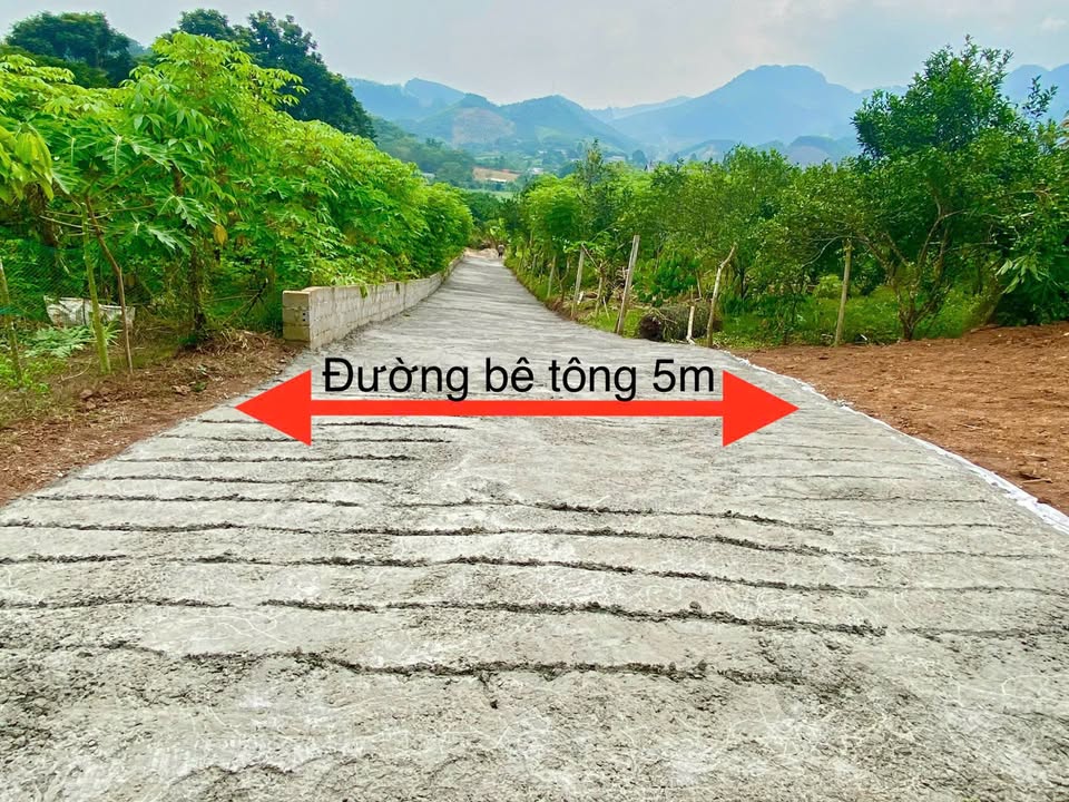 Đất nền 1ha Bắc Phong, Cao Phong - Giá chỉ 3 tỷ, vị trí đắc địa gần công viên