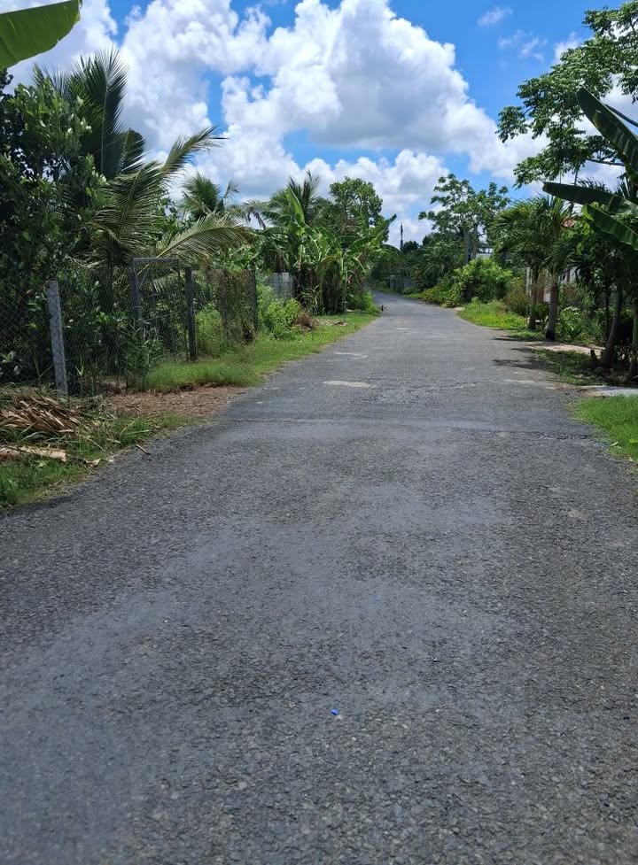 Đất cây lâu năm Trường Long 2011m² giá 2.5 tỷ - Đầu tư nghỉ dưỡng lý tưởng!