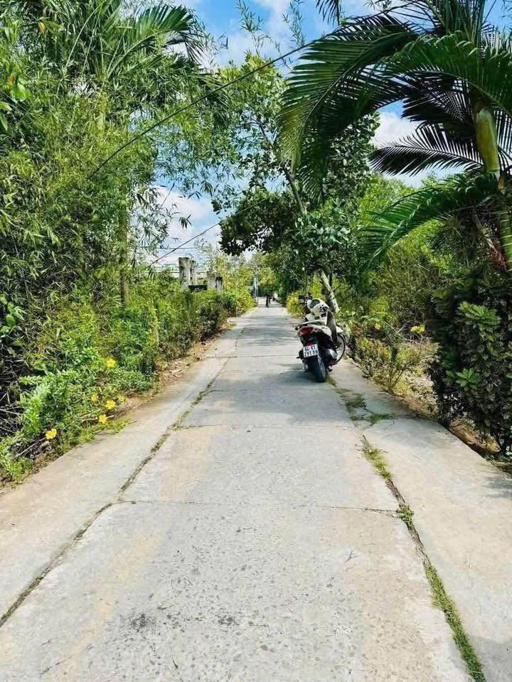 Đất nền xã Tân Quới, Bình Tân, Vĩnh Long 125m² giá 329 triệu - Đầu tư sinh lời lý tưởng!