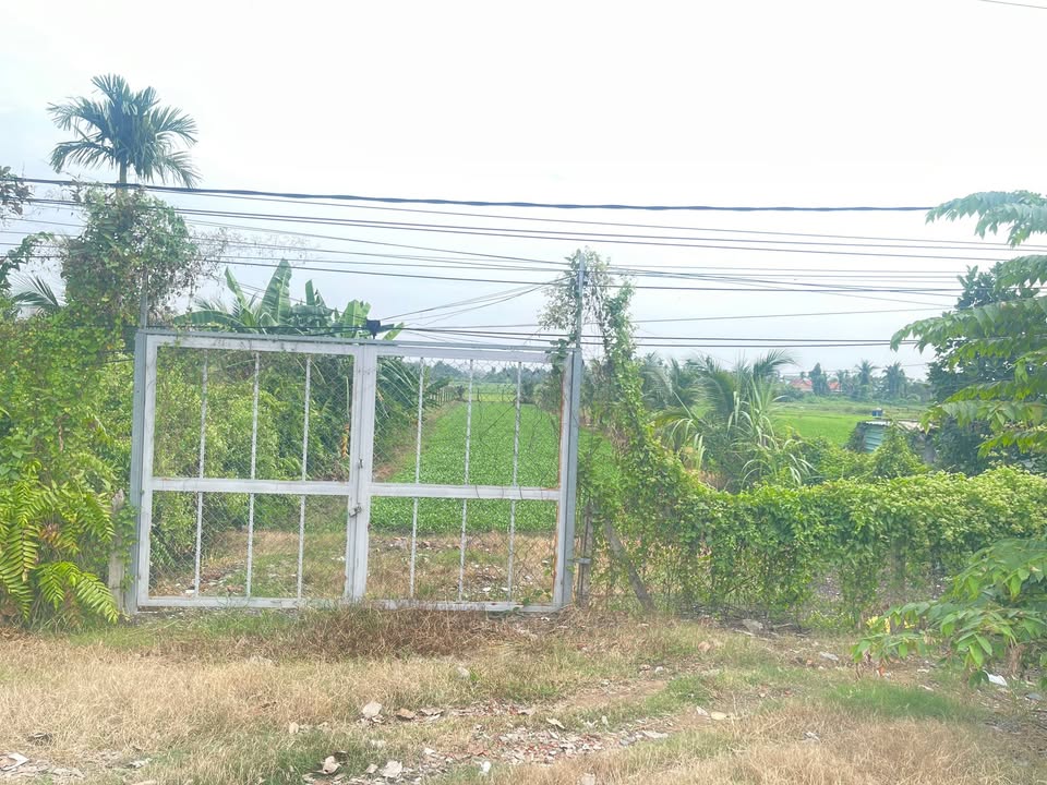 Đất vườn Củ Chi 1108.1m² giá chỉ 5.8 tỷ - Tiềm năng sinh lời cao!