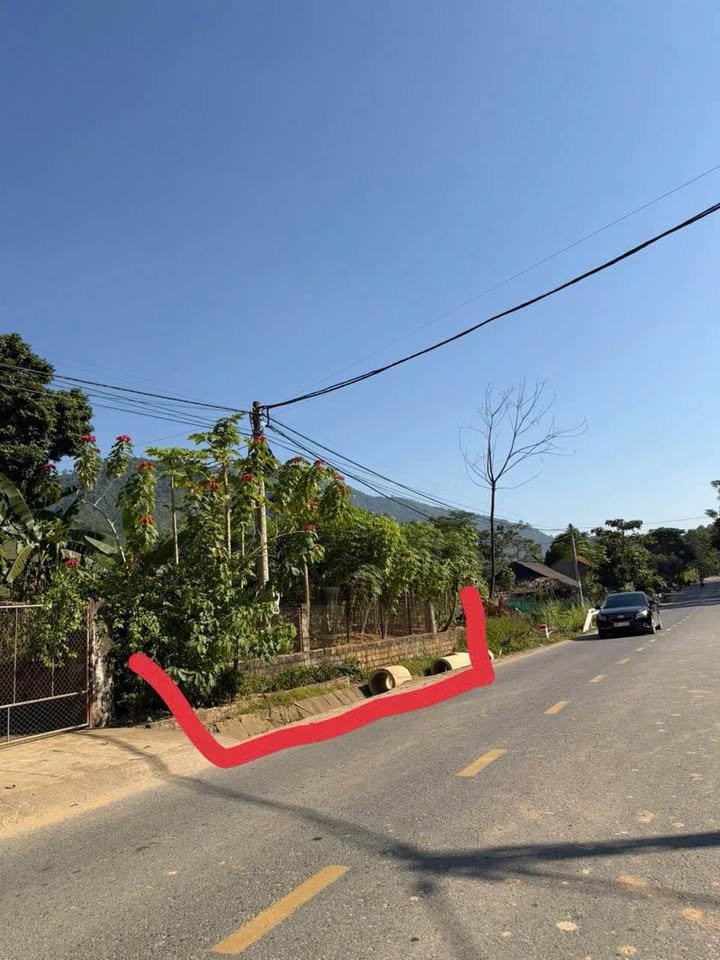 Đất nền mặt đường QL32, Thu Cúc, Tân Sơn, 115m² - Giá cực kỳ yêu thương!