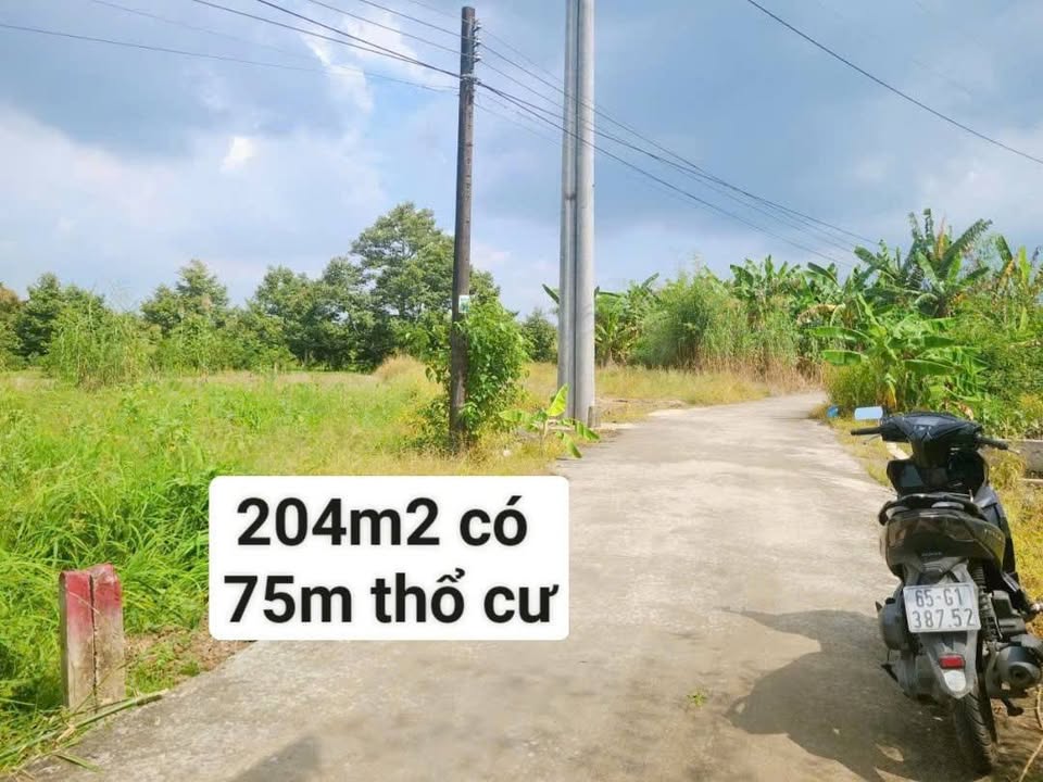 Đất nền Nhơn Nghĩa, Phong Điền 204m² giá 690 triệu - Mặt tiền ô tô, gần cầu Rạch Sung!