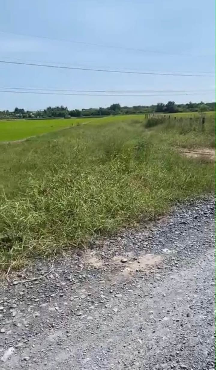 Đất nền Tân Thành Gò Công 1000m² giá 1 tỷ - Mặt tiền đường lớn, gần biển!