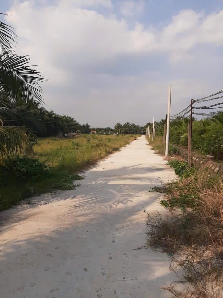 Đất nền 130m² Phú Tân, Bến Tre giá chỉ 520 triệu - Đầu tư sinh lời cao!