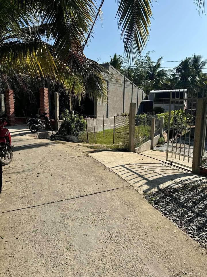 Đất thổ cư 231m² tại Vĩnh Hòa, Chợ Lách, Bến Tre - Giá chỉ 530 triệu!