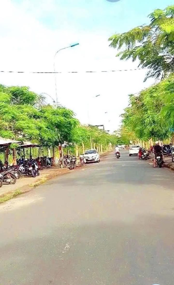 Đất nền khu tái định cư Quới Sơn, Bến Tre 240m² - Cơ hội đầu tư tuyệt vời!