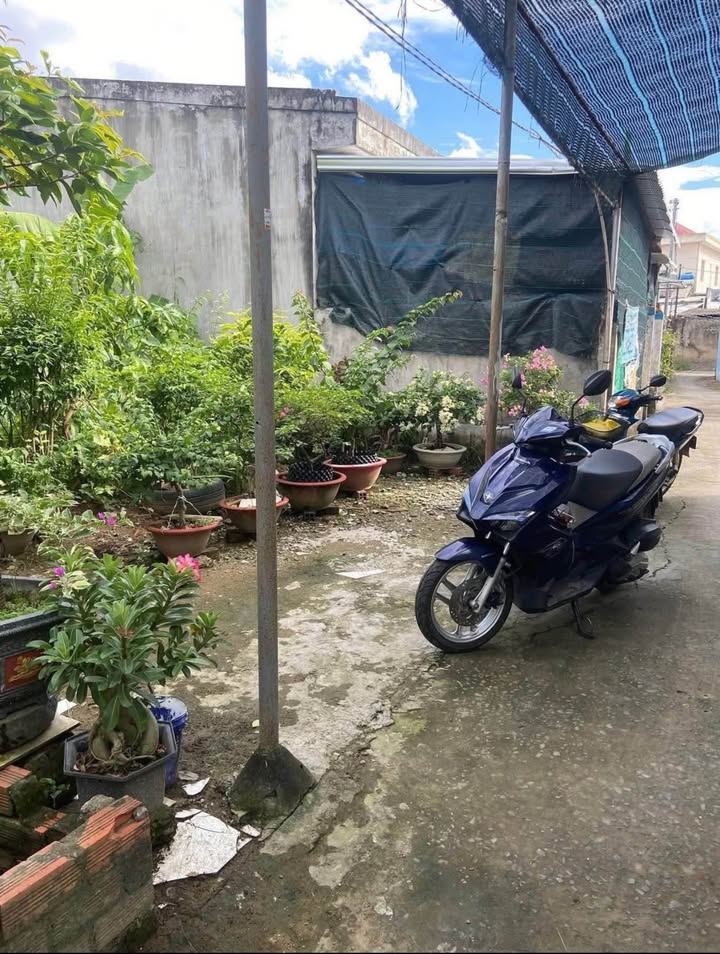 Đất nền Phú Khương Bến Tre 130.7m² giá 850 triệu - Bán gấp, vị trí đẹp!