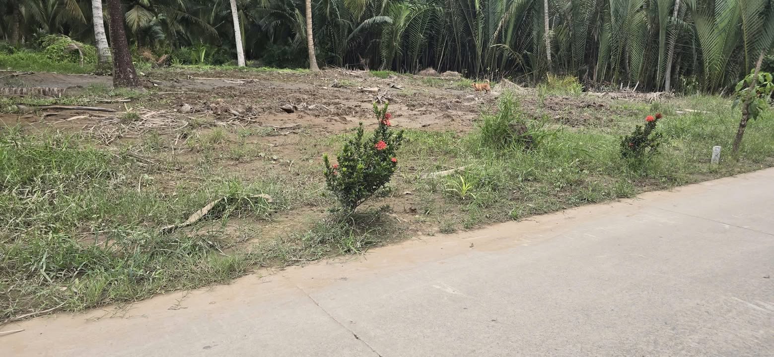 Đất nền Phước Hiệp 537,5m² giá 690 triệu - Sổ hồng chính chủ, đầu tư sinh lời!