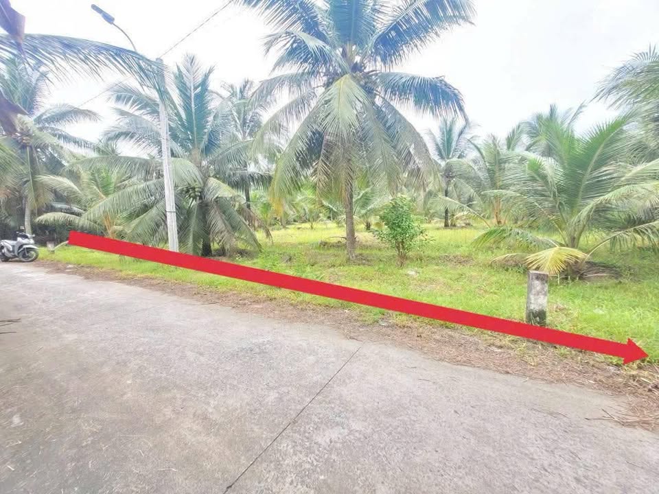 Đất nông nghiệp 2000m² tại Sơn Đông, Bến Tre - Giá chỉ 3.6 tỷ