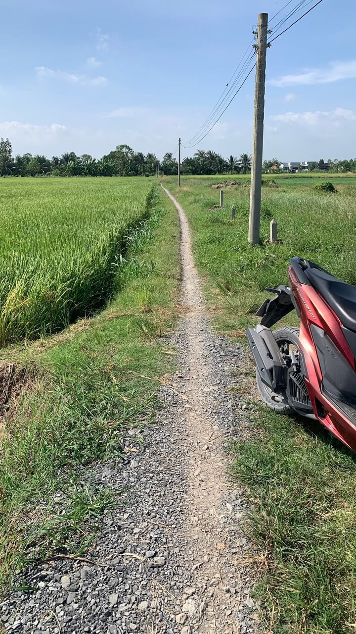 Đất thổ cư Tăng Hòa, Gò Công Đông 270m² giá chỉ 250 triệu - Cơ hội đầu tư tuyệt vời!