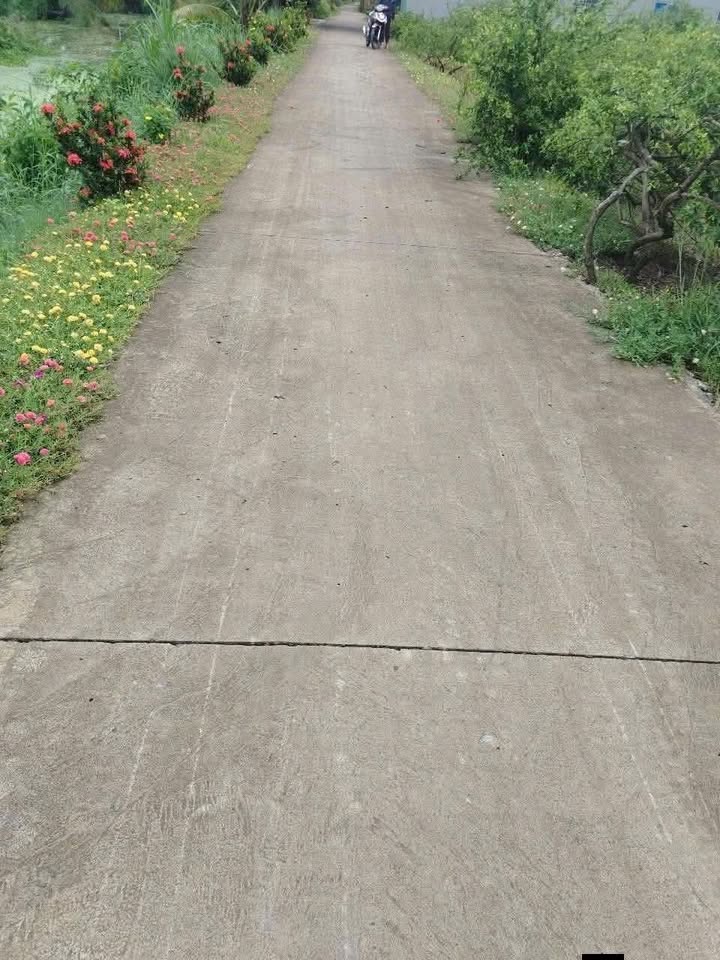 Đất thổ cư 200m² tại Ấp Xóm Tựu, Gò Công Đông, Giá 1.3 tỷ - Cơ hội đầu tư tuyệt vời!