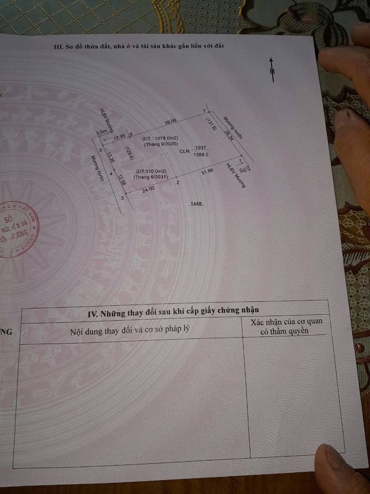 Đất Phú An Bến Cát 1388m² giá 1.9 tỷ - Đầu tư sinh lời tuyệt vời!