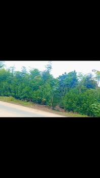 Đất mặt tiền đường nhựa lớn tại xã Tà Lài, 1095m² giá chỉ 10.95 tỷ - Đầu tư sinh lời!