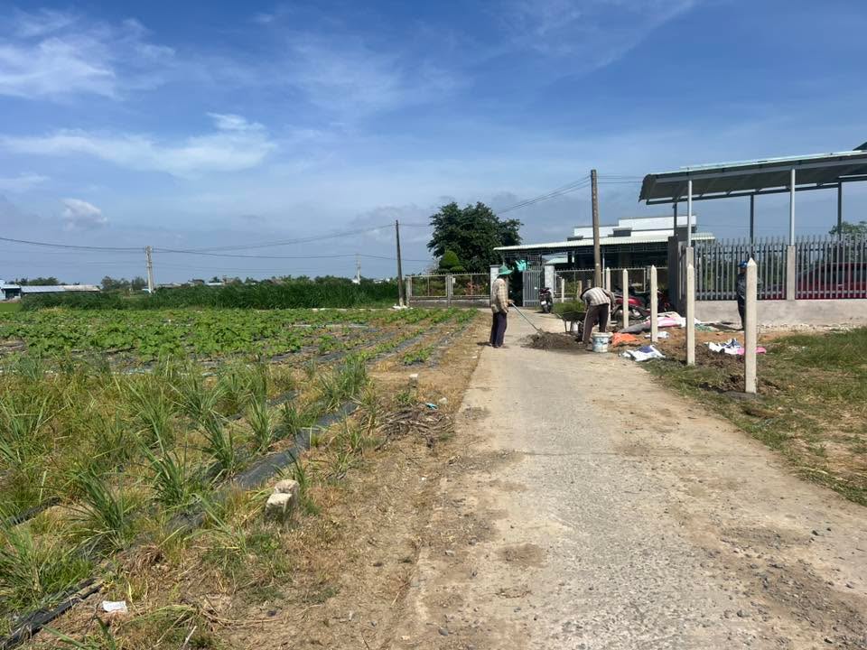 Đất nền Bình Nghị, Gò Công Đông 141m² giá chỉ 330 triệu - Đầy đủ tiện nghi!