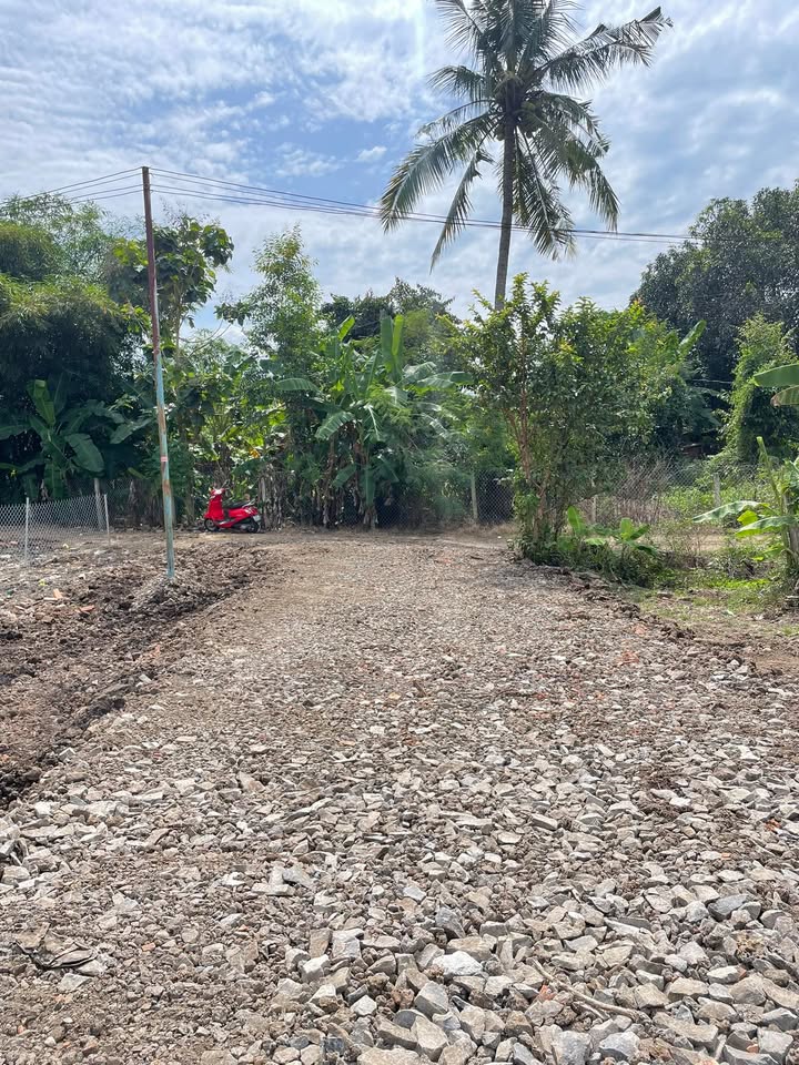 Đất thổ cư Tân Phú 120m² giá chỉ 360 triệu - Cơ hội đầu tư tuyệt vời!