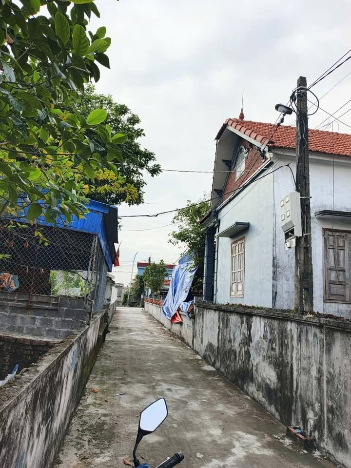 Đất nền Minh Tân Kiến Thụy 89.7m² giá 1 tỷ - Đầu tư sinh lời ngay!