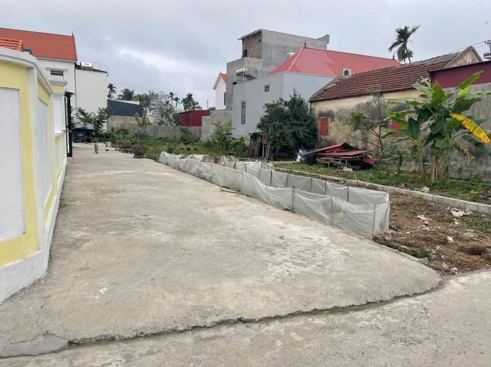 Đất nền Minh Tân Kiến Thụy 62m² giá 900 triệu - Đầu tư sinh lời ngay!