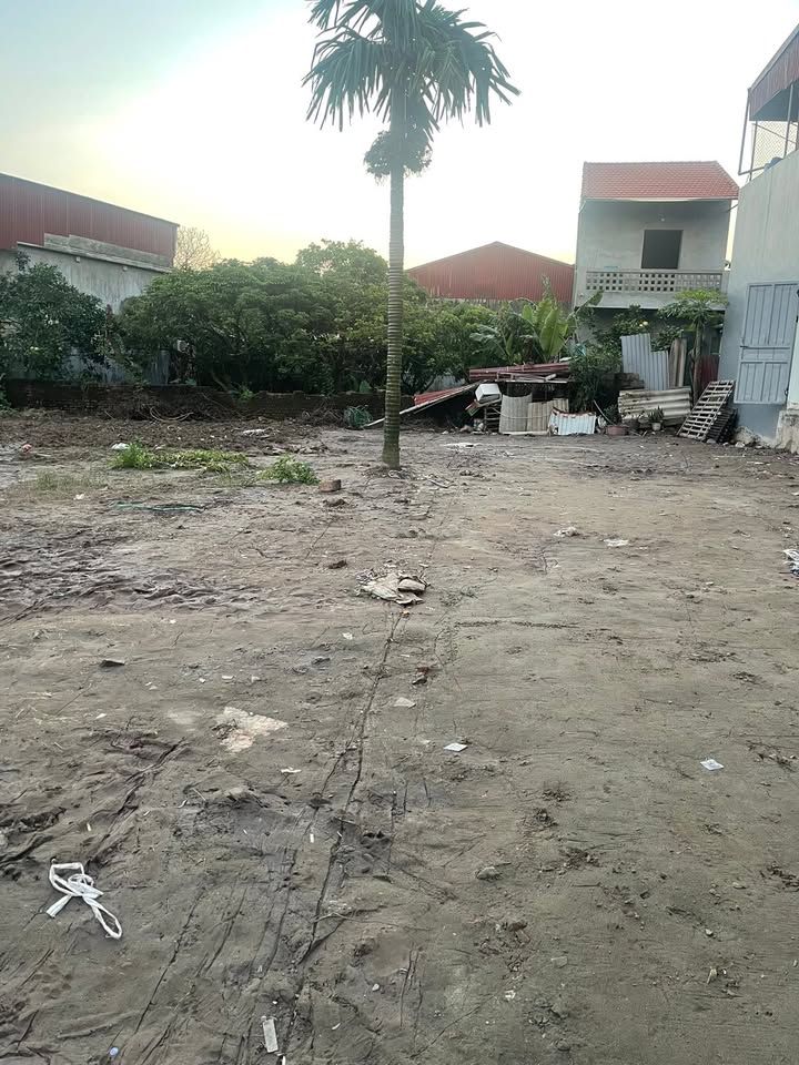 Đất nền Lam Sơn, TP Hưng Yên 86m² giá 1.2 tỷ - Cơ hội đầu tư cực hiếm!