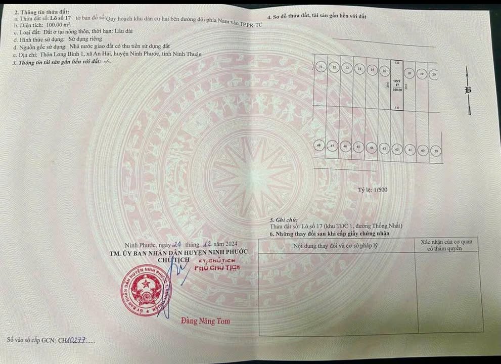 Đất nền mặt tiền đường Thống Nhất, Phan Rang 100m² giá 3.2 tỷ - Cơ hội đầu tư hấp dẫn!