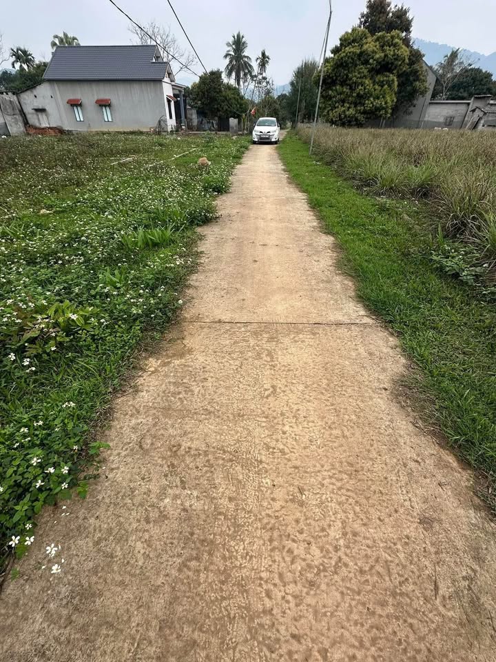 Đất nền liền kề Thành Minh, Thạch Thành 150m² giá 200 triệu - Đầu tư sinh lời ngay!