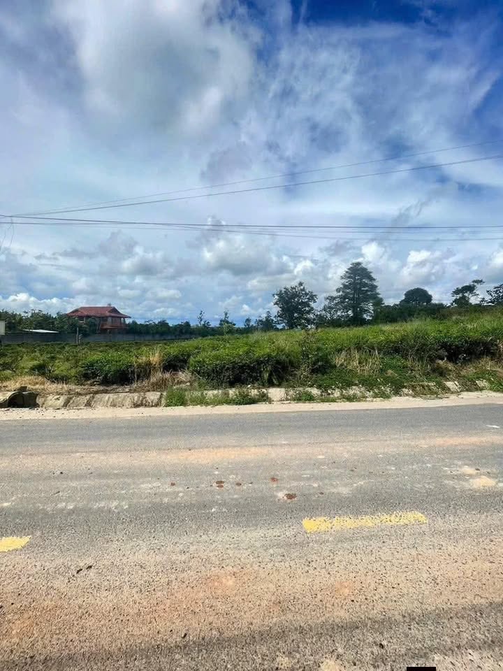 Bán đất mặt tiền Trương Định, Bảo Lộc 4000m² giá 6.2 tỷ - Cơ hội đầu tư sinh lời!