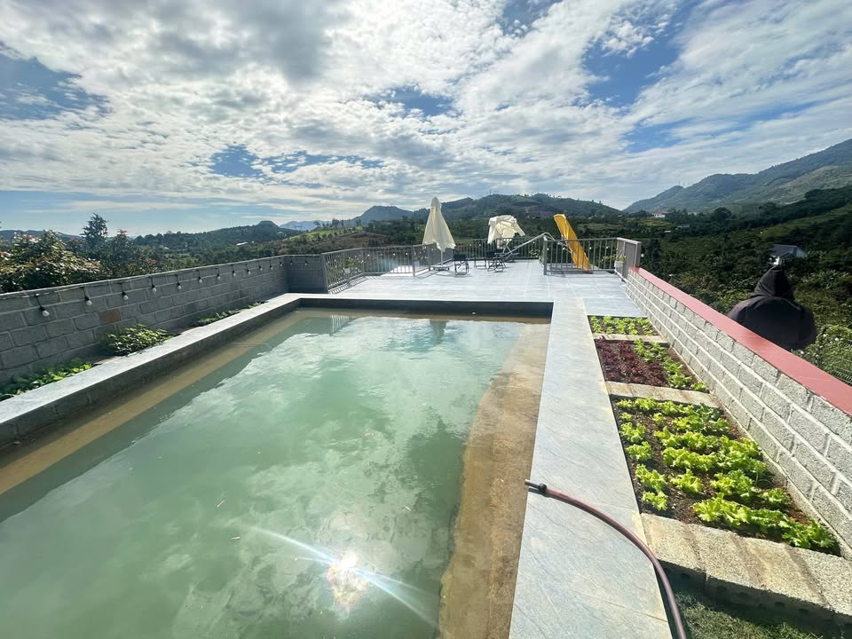 Homestay Đỉnh Núi Bảo Lộc 1200m² giá 2.9 tỷ - Hồ bơi view đẹp