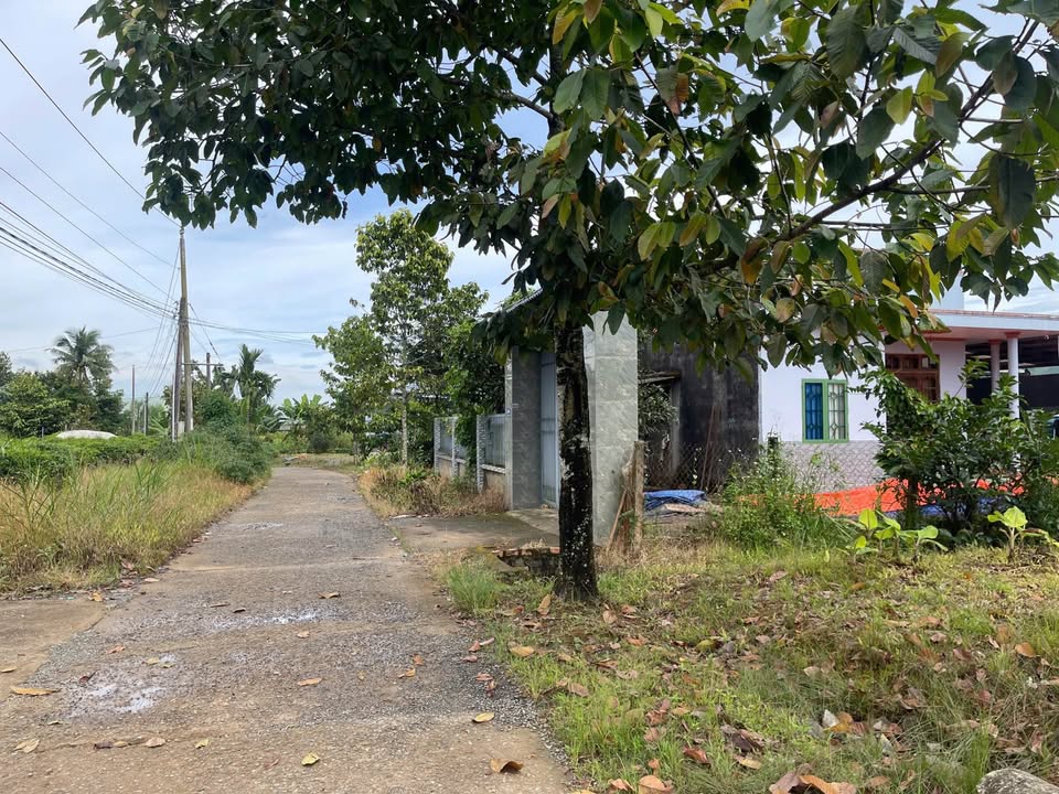 Đất nền Đại Lào, Bảo Lộc 177m² giá 950 triệu - Đường nhựa rộng, sổ hồng đầy đủ!