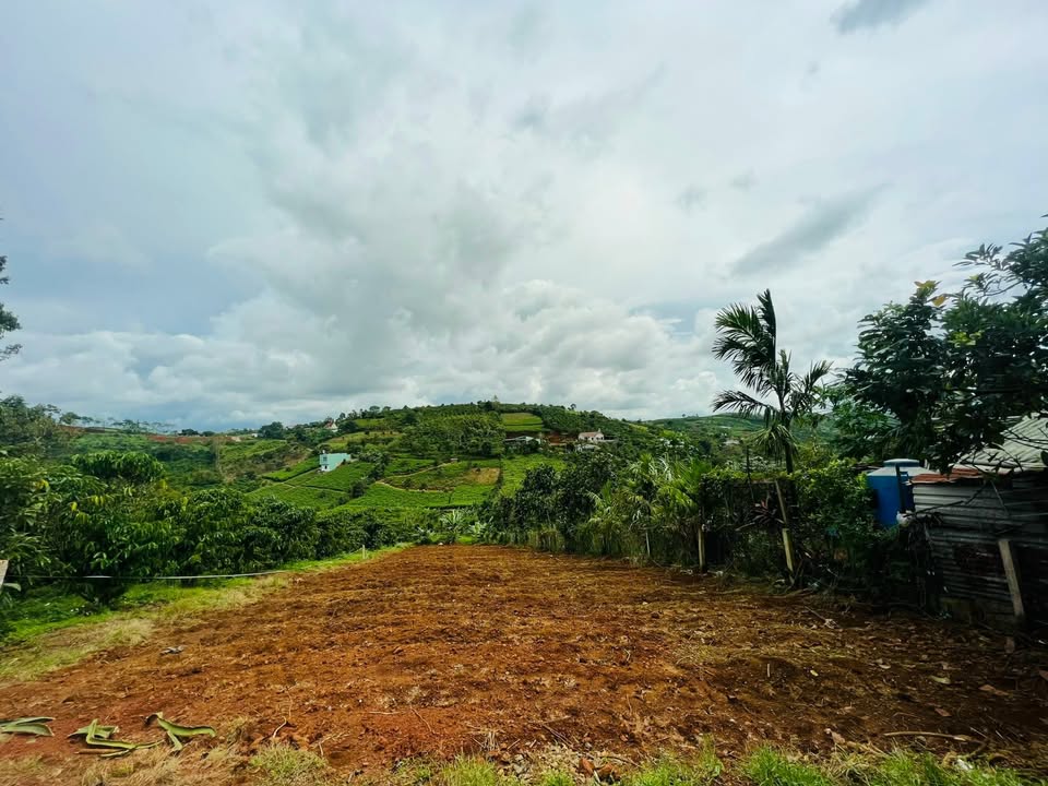 Đất nền 1000m² mặt tiền đường ô tô tại Bảo Lộc - Giá chỉ 2 tỷ!