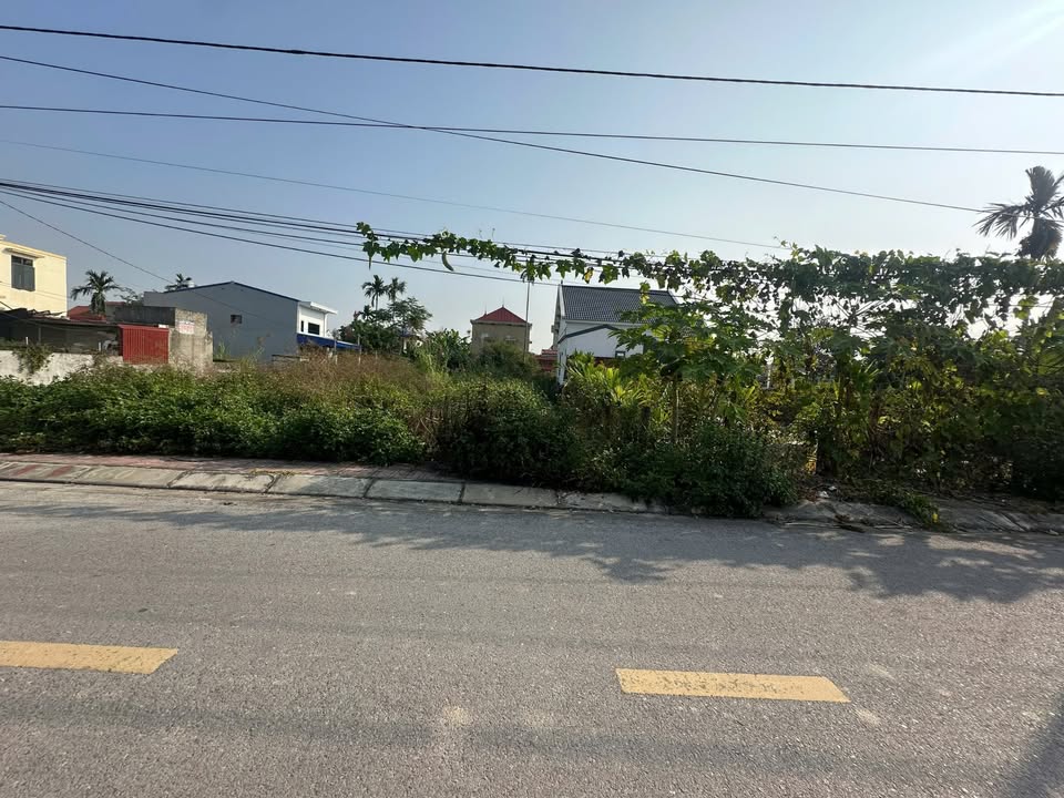 Đất nền chính chủ tại xã Đại Đồng, Kiến Thụy 77m² chỉ 2 tỷ - Vị trí đắc địa không thể bỏ qua!