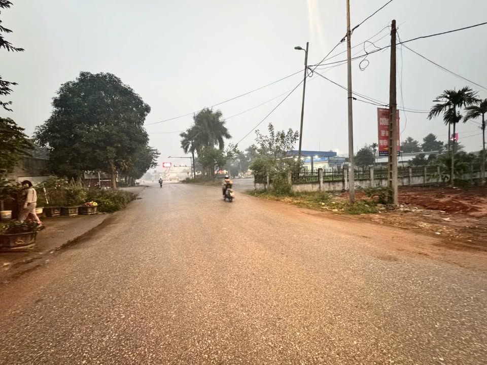 Đất Thanh Miếu, Việt Trì 264m² giá 9 tỷ - Vị trí đắc địa cho kinh doanh!