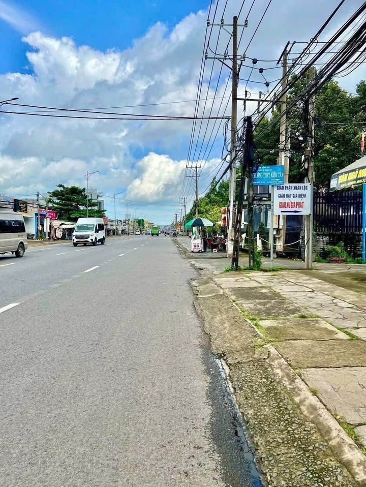 Đất nền kinh doanh tại Thanh Sơn, Tân Phú, 600m² chỉ 1.2 tỷ - Sổ riêng chính chủ!