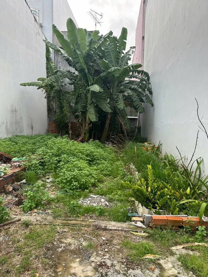 Đất nền Trần Quốc Tảng, Đông Xuyên, Long Xuyên 56m² giá 1 tỷ - Pháp lý rõ ràng!