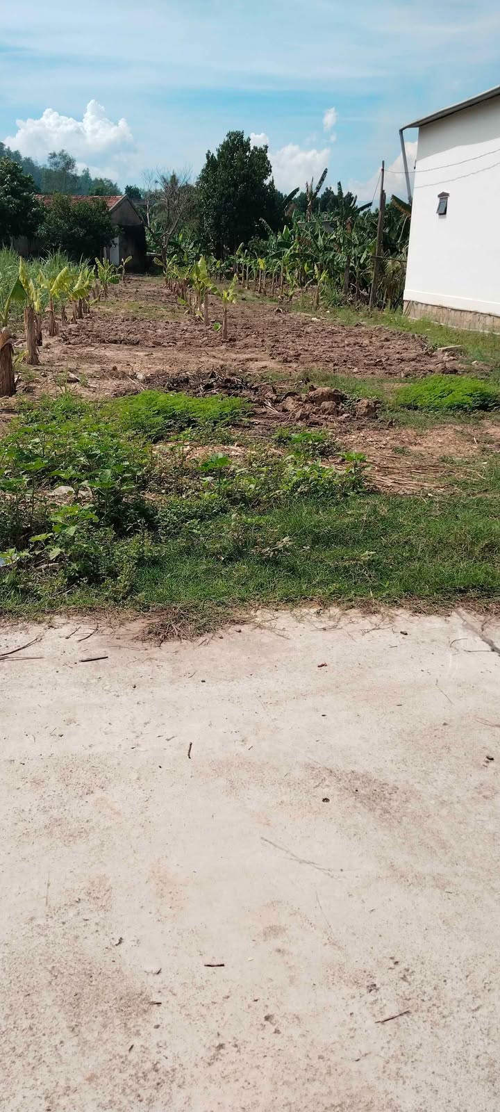 Đất thổ cư Khánh Trung 441m² giá chỉ 290 triệu - Cơ hội đầu tư hấp dẫn!