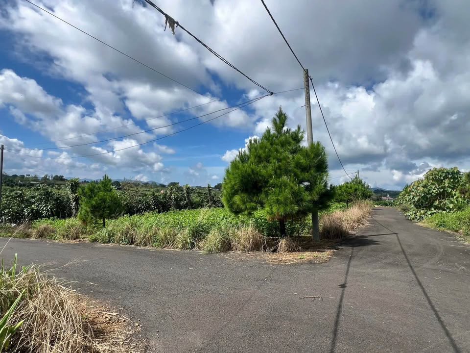 Đất Lý Thái Tổ Bảo Lộc 680m² giá 1.5 tỷ - Lô góc 3 mặt tiền